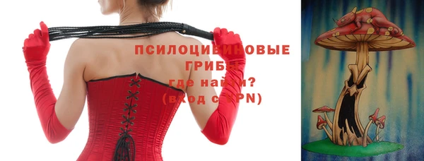 твердый Бородино