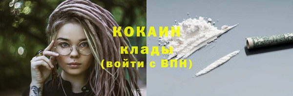 твердый Бородино
