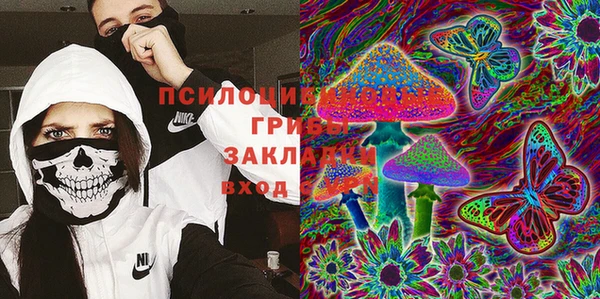 твердый Бородино