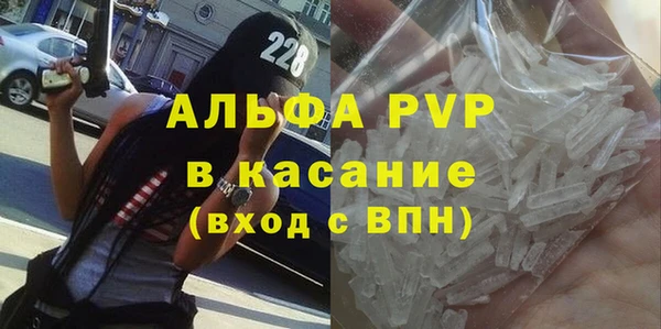 твердый Бородино