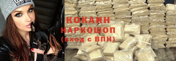 твердый Бородино