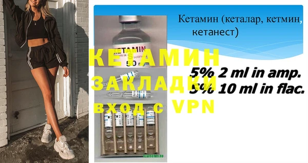 твердый Бородино